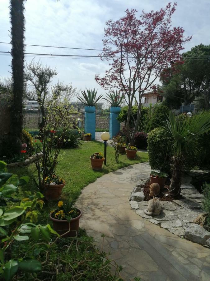 Villa La Carlottina Codevigo Exterior foto